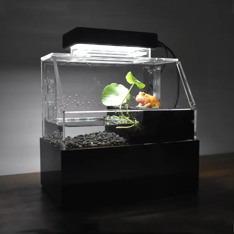 Aquarium Fish For Sale - ตู้ปลาตั้งโต๊ะขนาดเล็กสั่งทำพิเศษ Relaxlines สำหรับตกแต่งภายในบ้าน หรูหรา พร้อมปลาสีสันสดใส มีจำหน่าย