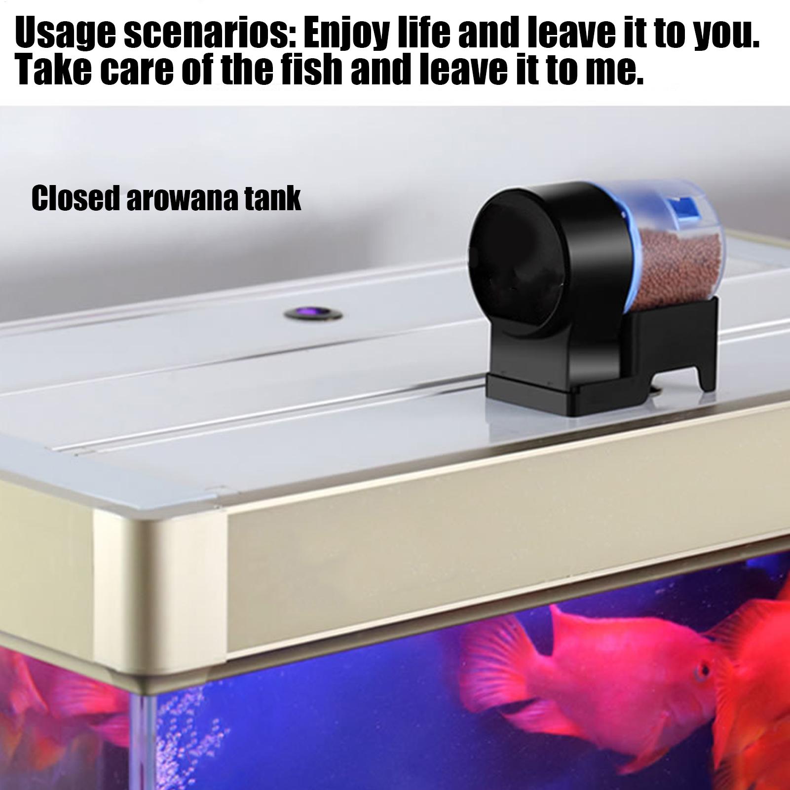 เครื่องให้อาหารปลาอัตโนมัติ ปร - Aquarium Fish Auto Feeder บทวิจารณ์และราคา