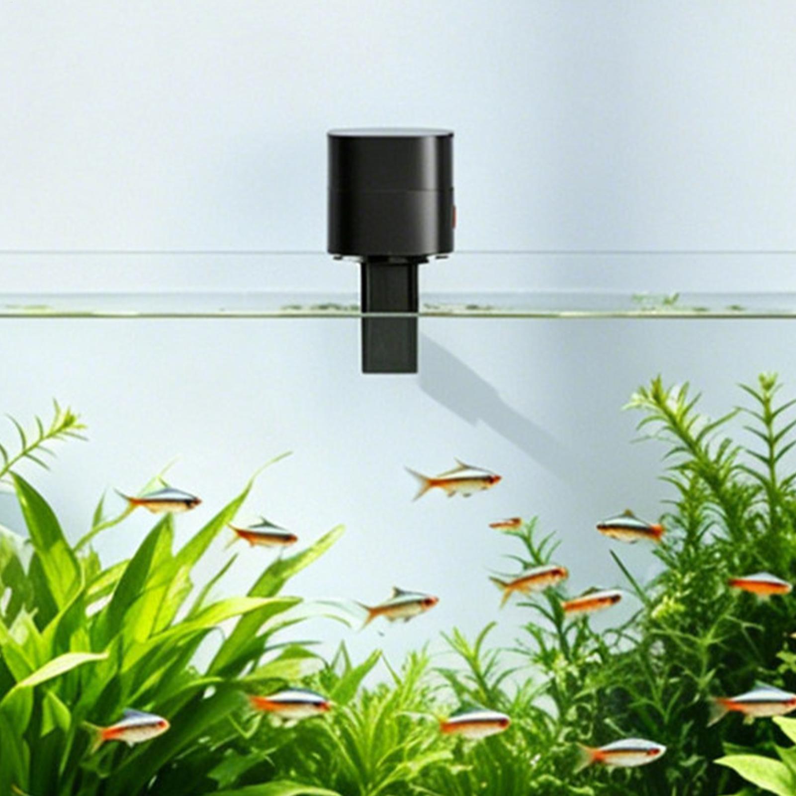 เครื่องให้อาหารปลาอัตโนมัติ สถ - Aquarium Fish Auto Feeder บทวิจารณ์และราคา