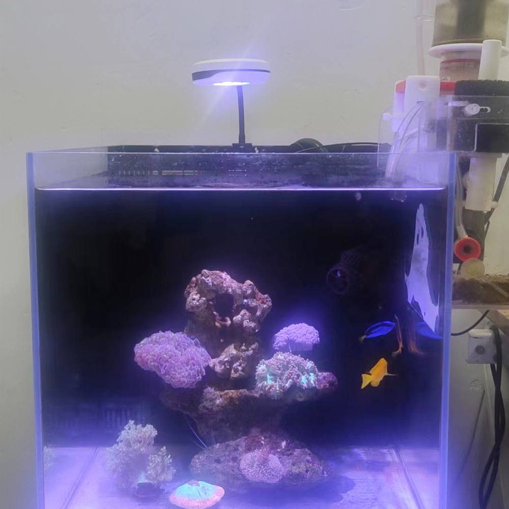 Spectra 20W LED Aquarium Light - Refugium Light Nano บทวิจารณ์และราคา