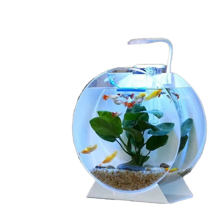 ตู้ปลาอะคริลิคทันสมัยเป็นมิตรก - Aquarium Fish For Sale บทวิจารณ์และราคา
