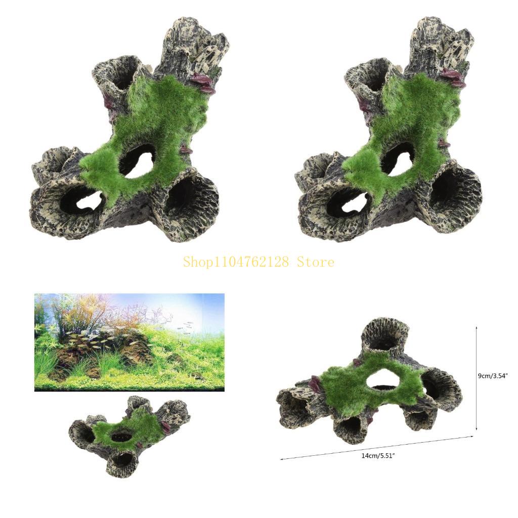 ปลาสำหรับตกแต่งถัง Aquarium Hi - Aquarium Fish For Sale บทวิจารณ์และราคา