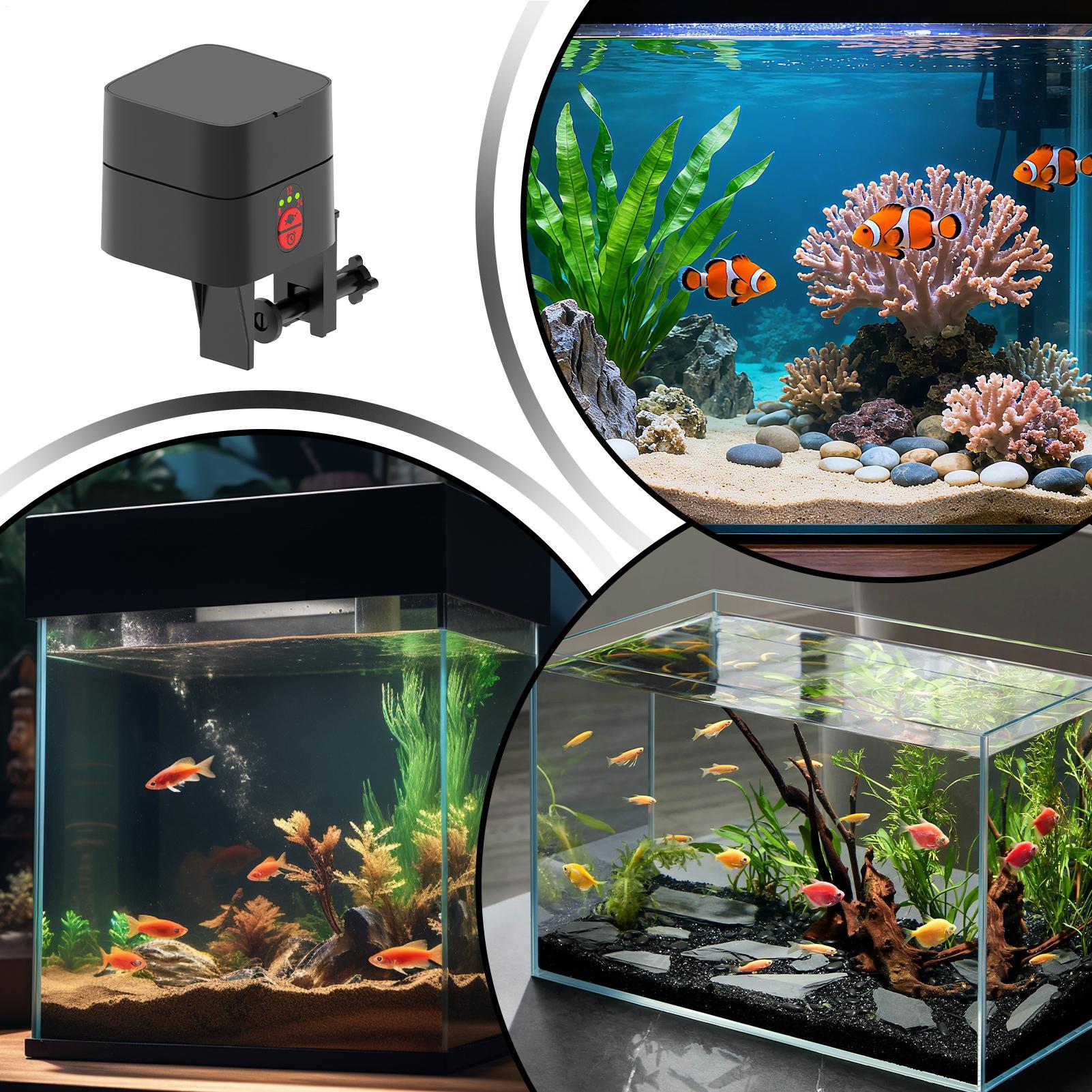 เครื่องให้อาหารเต่าอัตโนมัติ แ - Aquarium Fish Auto Feeder บทวิจารณ์และราคา
