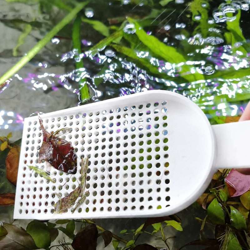 ตะแกรงตักเศษขยะในตู้ปลา ตาข่าย - Aquarium Fish Maintenance บทวิจารณ์และราคา