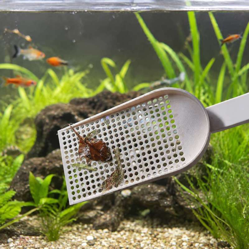 ตะแกรงตักเศษขยะในตู้ปลา ตาข่าย - Aquarium Fish Maintenance บทวิจารณ์และราคา