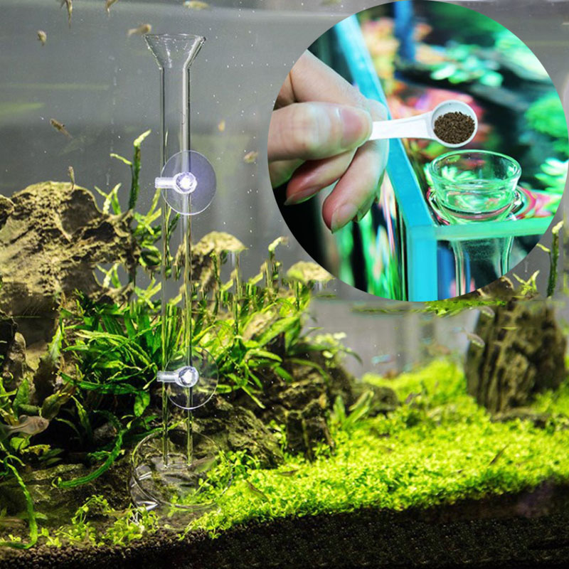 แก้ว Aquarium หลอดป้อนอาหารจาน - Aquarium Fish Auto Feeder บทวิจารณ์และราคา