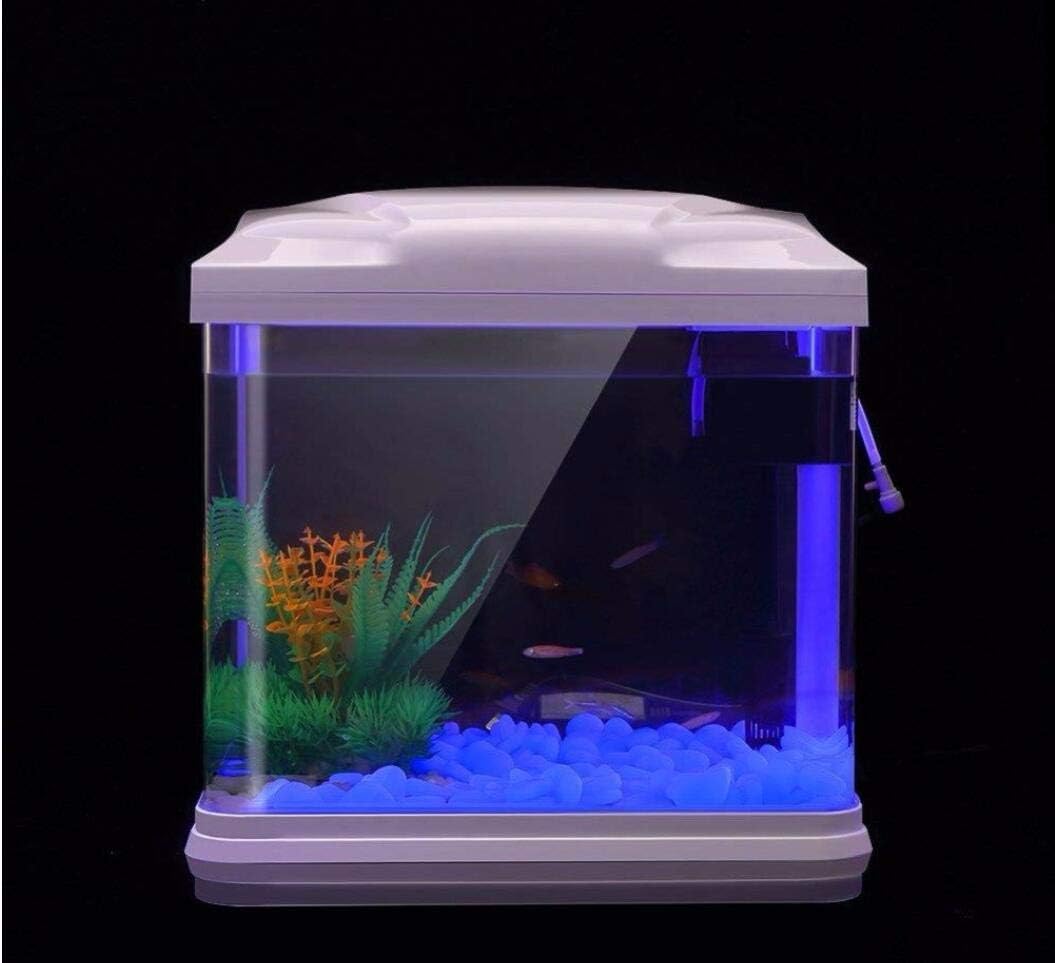 ถังปลา Rocks Glow Blue Pebbles - Aquarium Fish Quarantine บทวิจารณ์และราคา