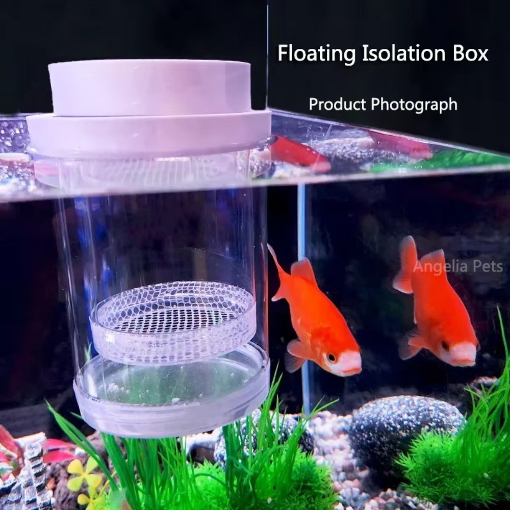 พลาสติกลอยปลา Breeding การแยกก - Aquarium Fish Auto Feeder บทวิจารณ์และราคา