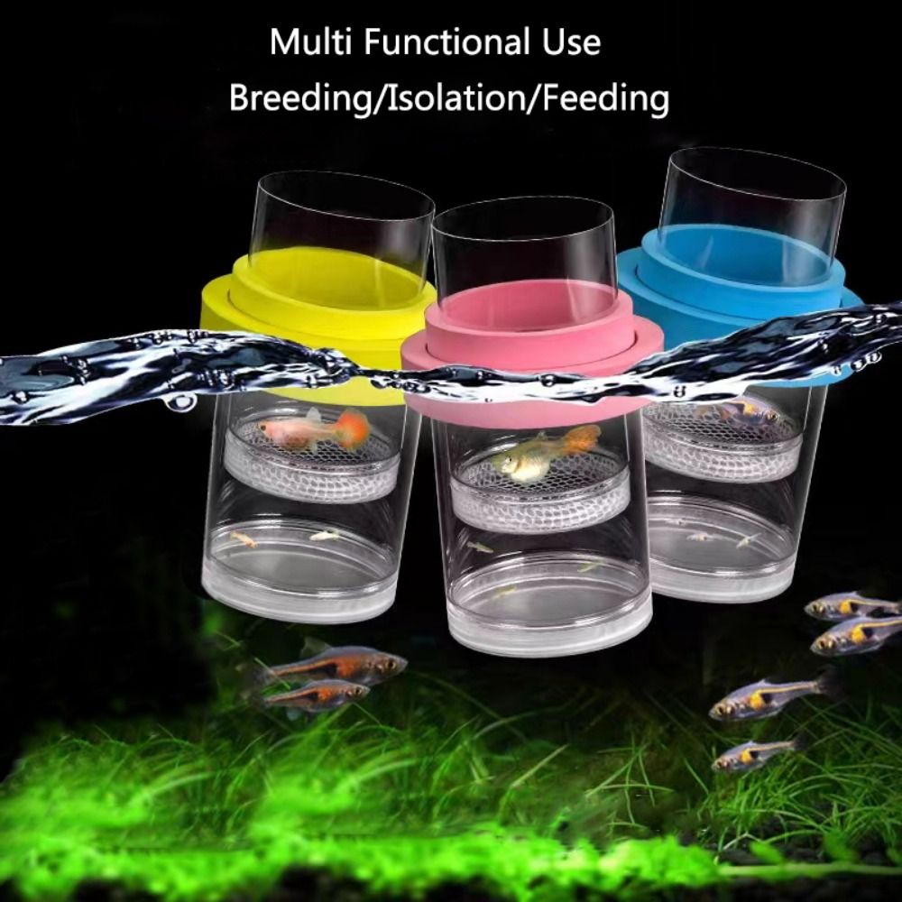 พลาสติกลอยปลา Breeding การแยกก - Aquarium Fish Auto Feeder บทวิจารณ์และราคา