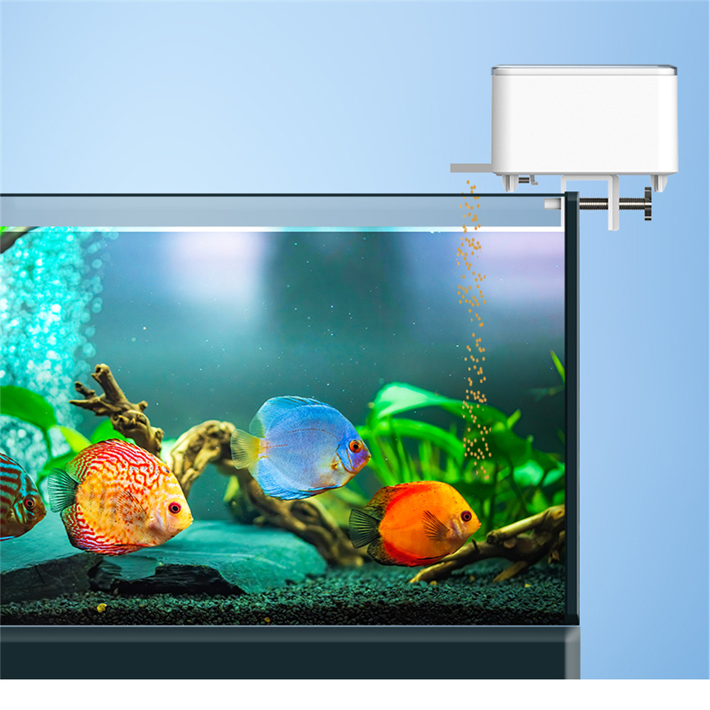 WiFi สมาร์ทเครื่องป้อนอัตโนมัต - Aquarium Fish Auto Feeder บทวิจารณ์และราคา