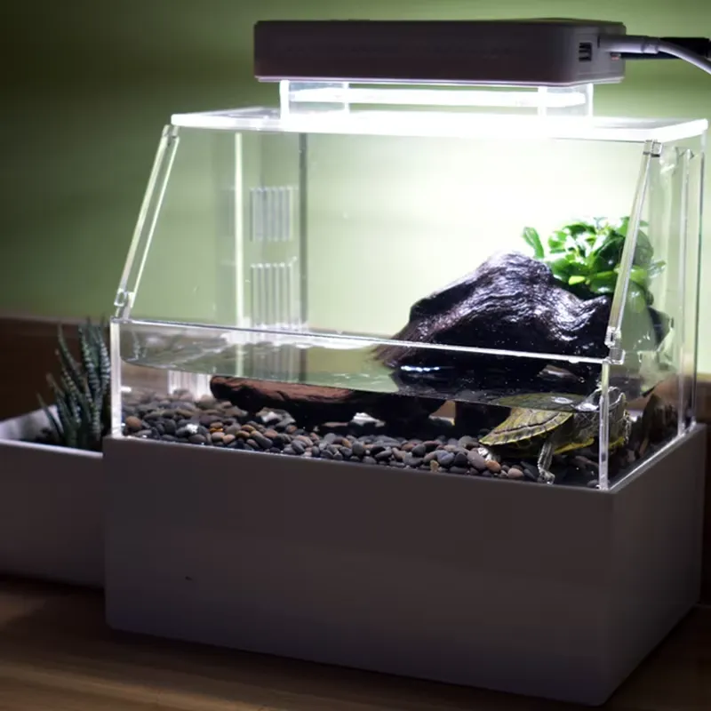 ตู้ปลาตั้งโต๊ะขนาดเล็กสั่งทำพิ - Aquarium Fish For Sale บทวิจารณ์และราคา