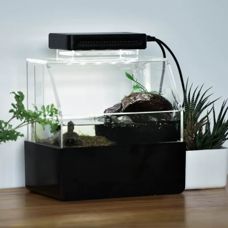 ตู้ปลาตั้งโต๊ะขนาดเล็กสั่งทำพิ - Aquarium Fish For Sale บทวิจารณ์และราคา