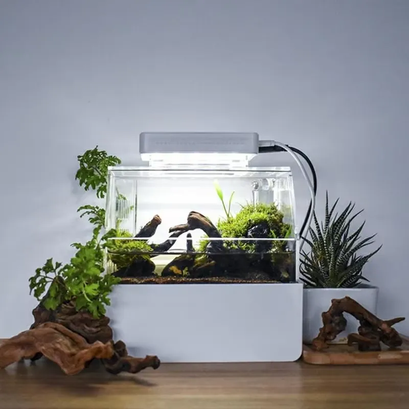 ตู้ปลาตั้งโต๊ะขนาดเล็กสั่งทำพิ - Aquarium Fish For Sale บทวิจารณ์และราคา