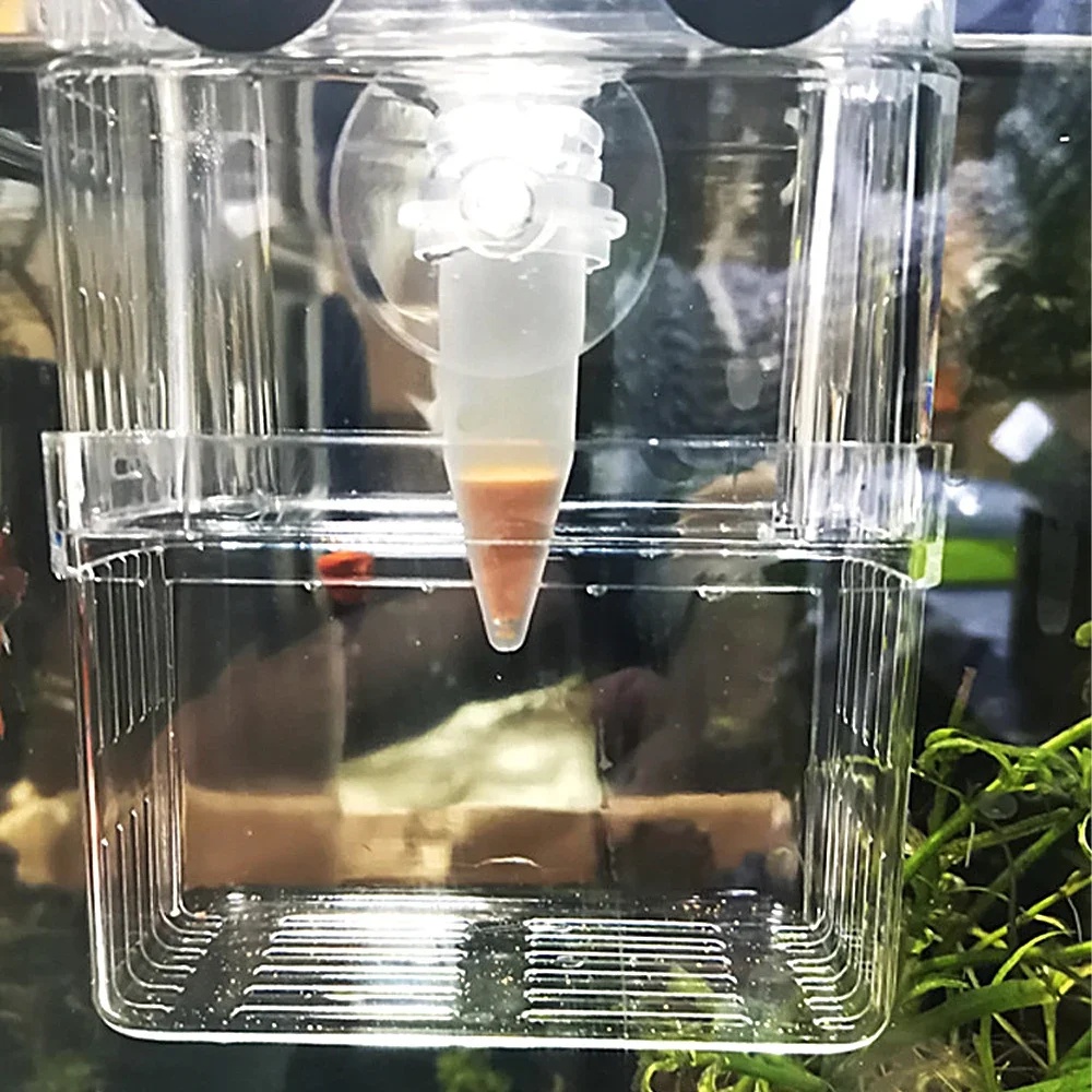 เครื่องให้อาหารปลาอัตโนมัติ รู - Aquarium Fish Auto Feeder บทวิจารณ์และราคา